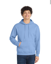 Load image into Gallery viewer, Free Hookers Hoodies
